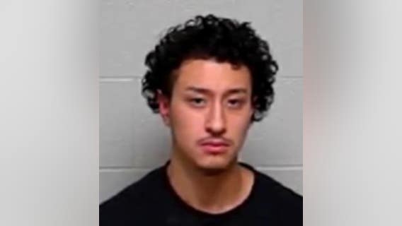 Illinois man arrested after allegedly shooting girlfriend, attacking police officer