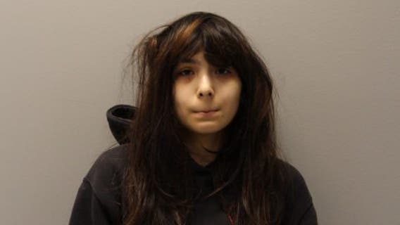 Des Plaines teen charged over TikTok threat to 'shoot up' suburban school