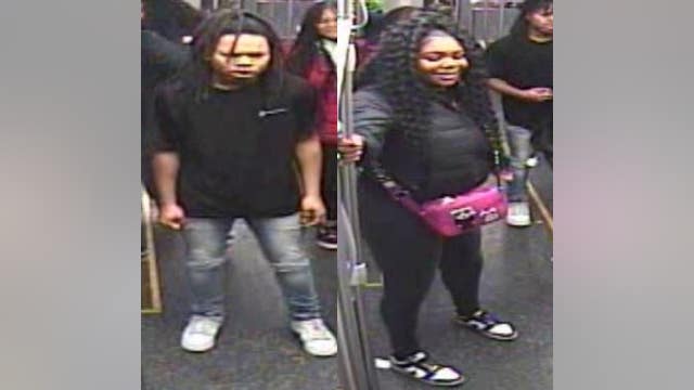 CTA Green Line passenger stabbed, robbed in West Garfield Park; suspects sought: police
