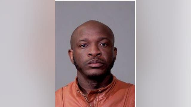 Will County man arrested after task force finds 11 stolen vehicles, tractor and trailer in backyard: police