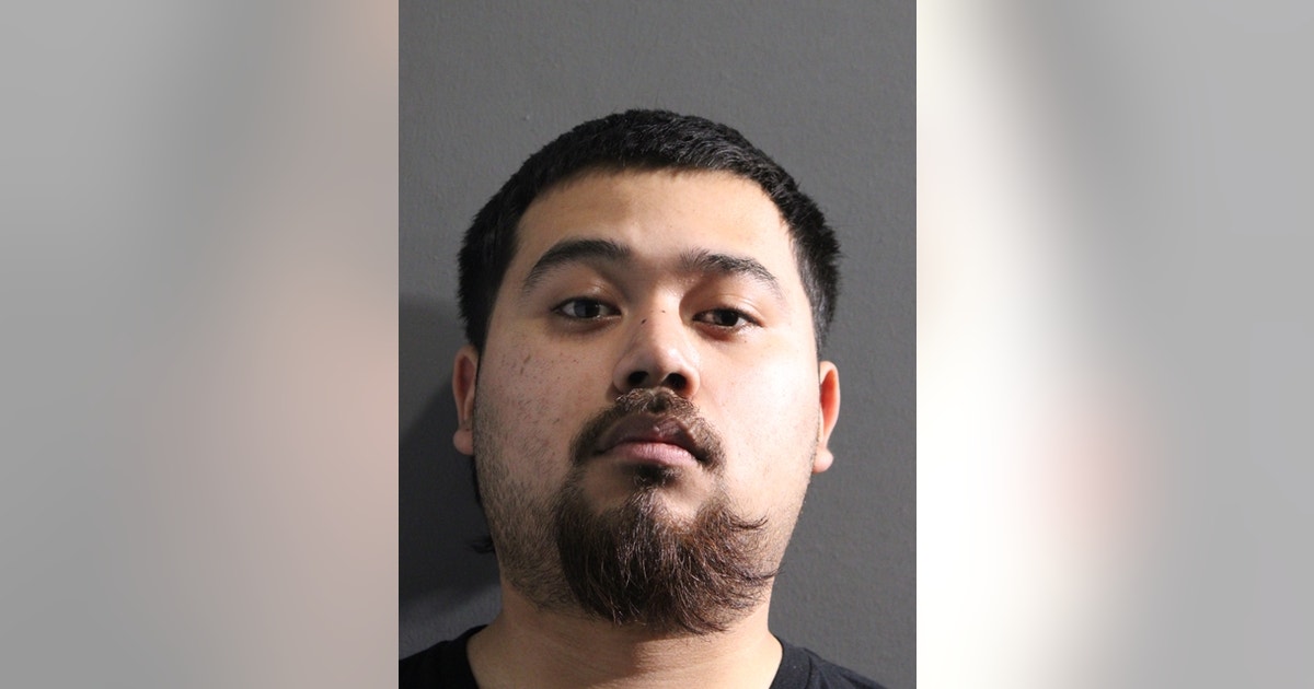 Chicago police: 19-year-old man arrested hours after carjacking woman ...