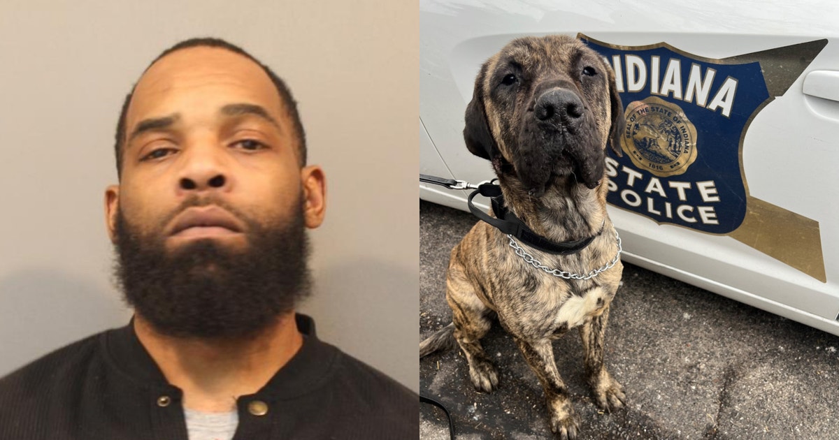Indiana man arrested on animal cruelty charge after viral dog video ...