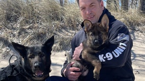 Son of late Lake County K-9 Dax joins sheriff's office, continuing his legacy