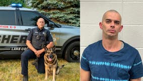 Illinois police dog helps find, capture suspected burglar in Lake County