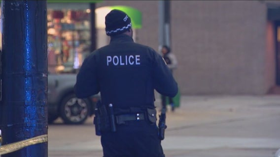 Person arrested after Chicago cop hit during confrontation between crowd, federal immigration agents