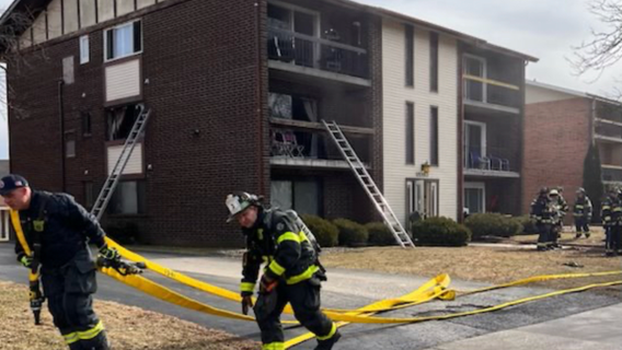 Orland Park condo fire: 2 cats rescued, residents evacuated