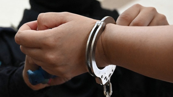 5 Chicago migrant boys stole from Oak Brook mall, one had large knife while another threw a punch: prosecutors