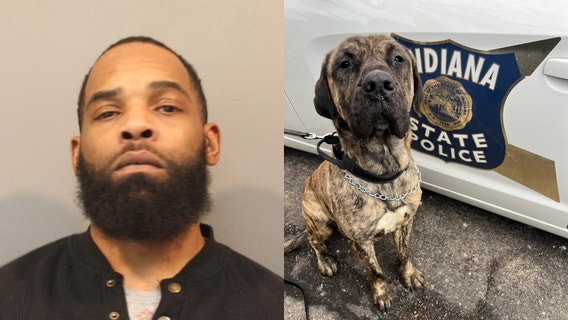 Indiana man arrested on animal cruelty charge after viral dog video