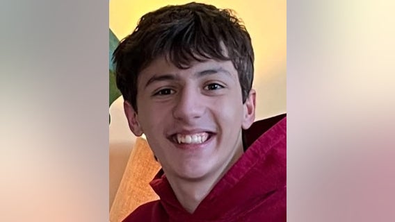 Sergio Majerus: Missing Plainfield teen last seen in January
