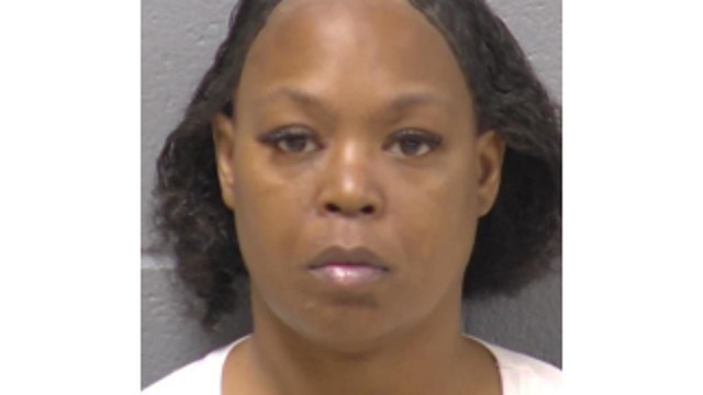 Chicago area woman who fatally stabbed dog sentenced to 1 year in prison