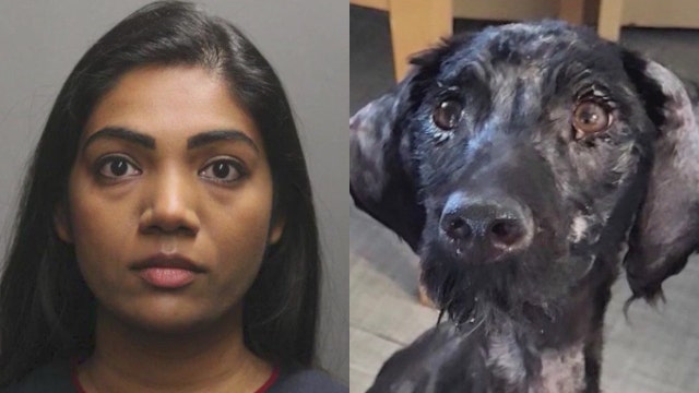 Chicago pediatrician facing animal abuse charges after emaciated dog found in bin appears in court