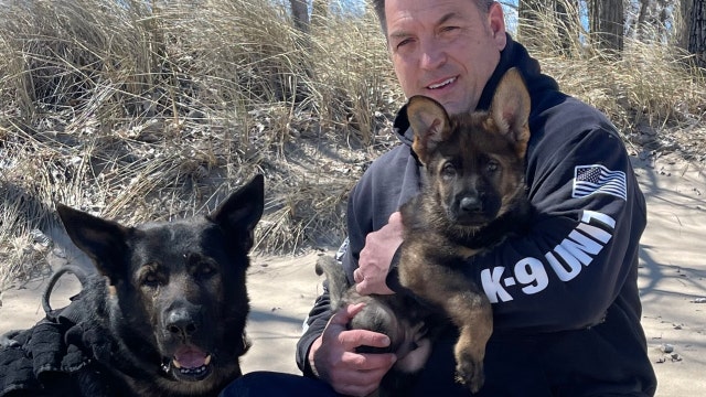 Son of late Lake County K-9 Dax joins sheriff's office, continuing his legacy