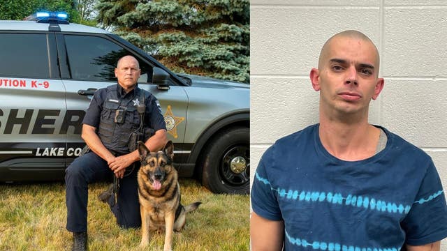 Illinois police dog helps find, capture suspected burglar in Lake County