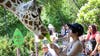 Brookfield Zoo Chicago unveils spring lineup with new family-friendly events