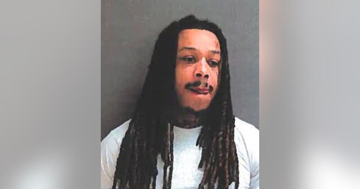 Cook County man charged after allegedly pistol-whipping driver during ...