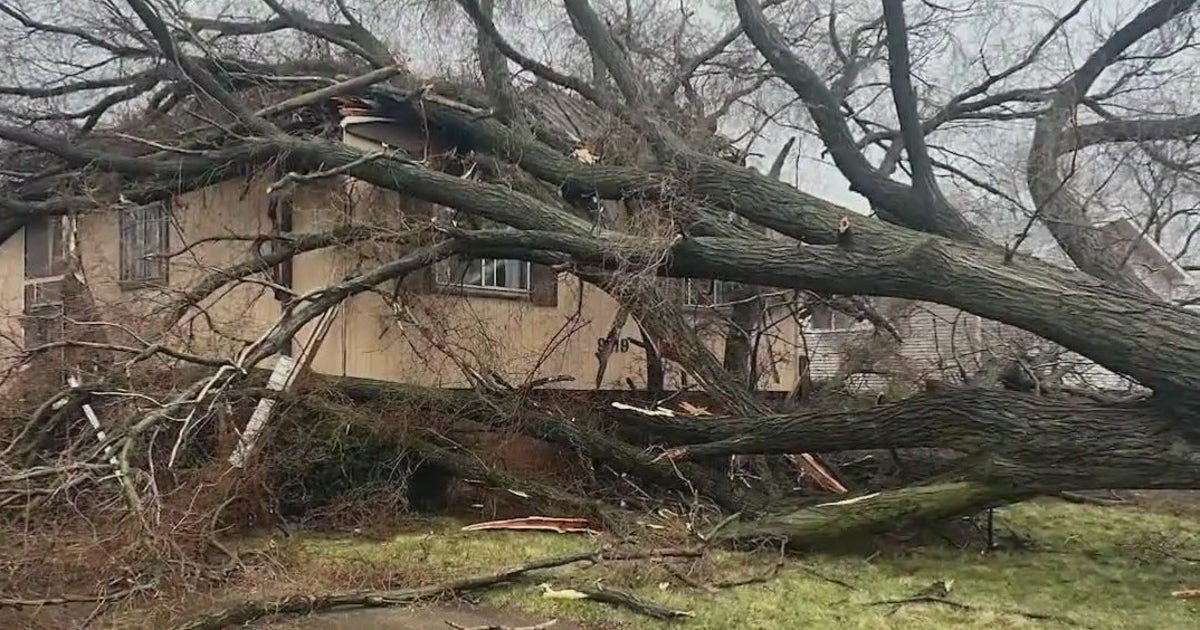 Severe storms leave trail of damage across Chicagoland | FOX 32 Chicago
