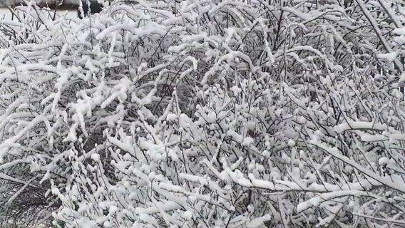 Spring snow surprises Chicago's South Side, southwest suburbs