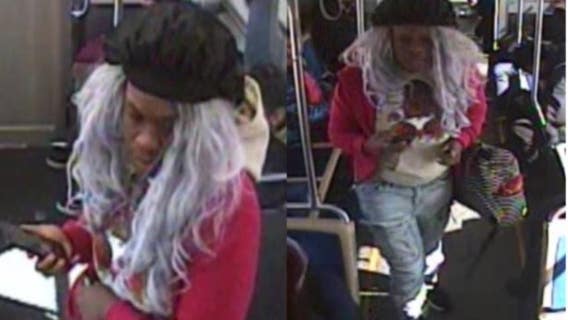 Chicago train robbery suspect struck victim, took her cellphone, police say