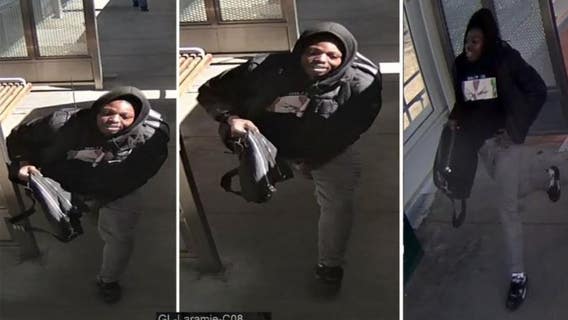 Chicago police seek CTA Green Line robbery suspect