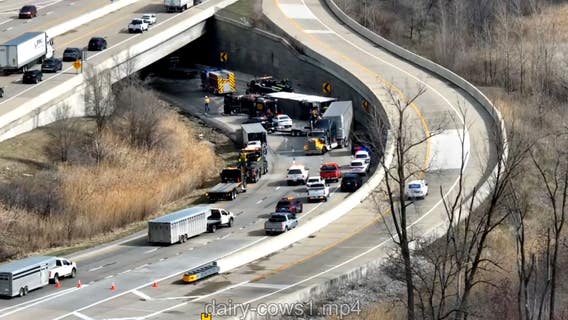 Truck carrying 126 cows overturns on I-65 near I-80/94, temporarily shutting down lanes