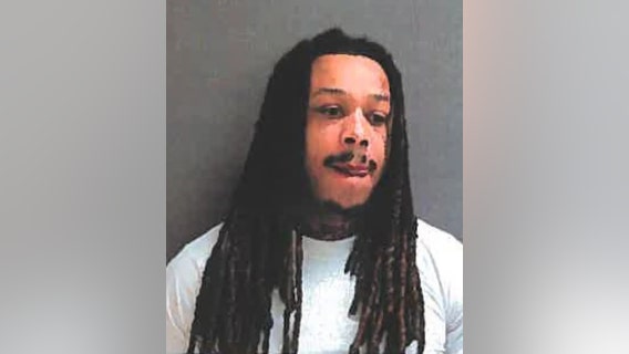 Cook County man charged after allegedly pistol-whipping driver during carjacking attempt