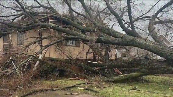 Severe storms leave trail of damage across Chicagoland