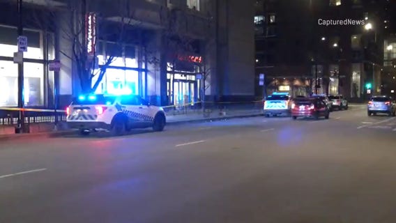 Teen charged in Streeterville shooting of tourist, police say