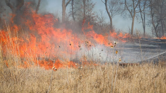 Workers lose control of controlled burn in Woodstock, scorching 10 acres