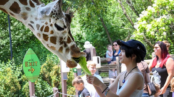 Brookfield Zoo Chicago unveils spring lineup with new family-friendly events