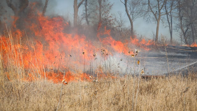 Workers lose control of controlled burn in Woodstock, scorching 10 acres