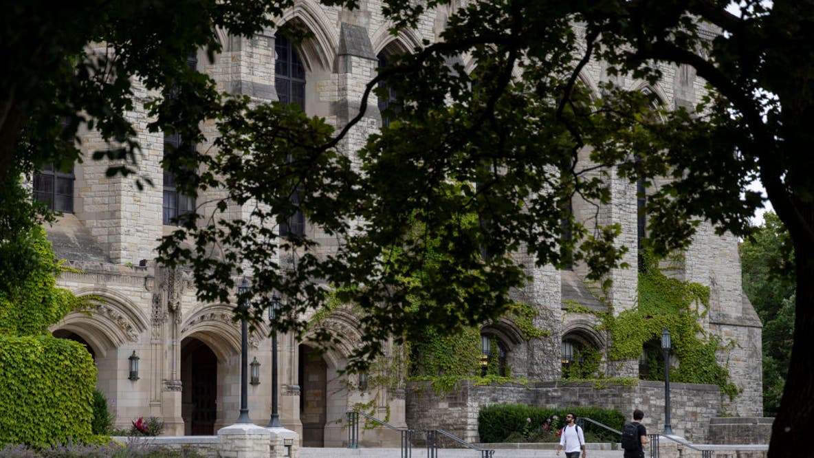 Northwestern University student dies after being pulled from Lake Michigan, officials say