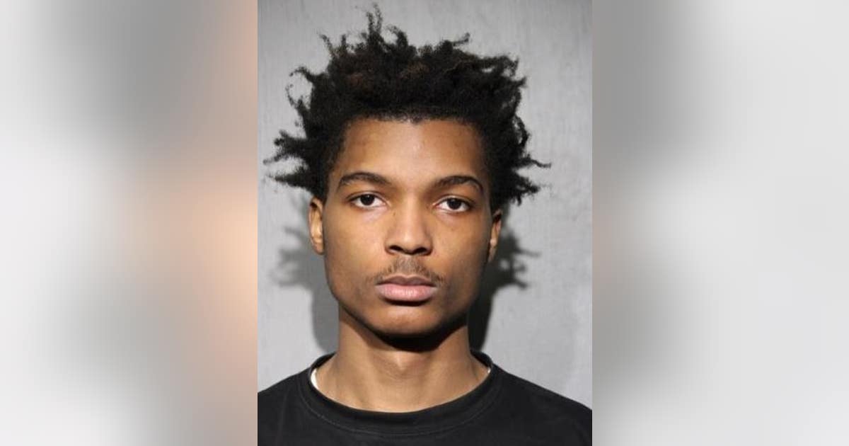 Chicago man arrested less than an hour after carjacking woman at ...