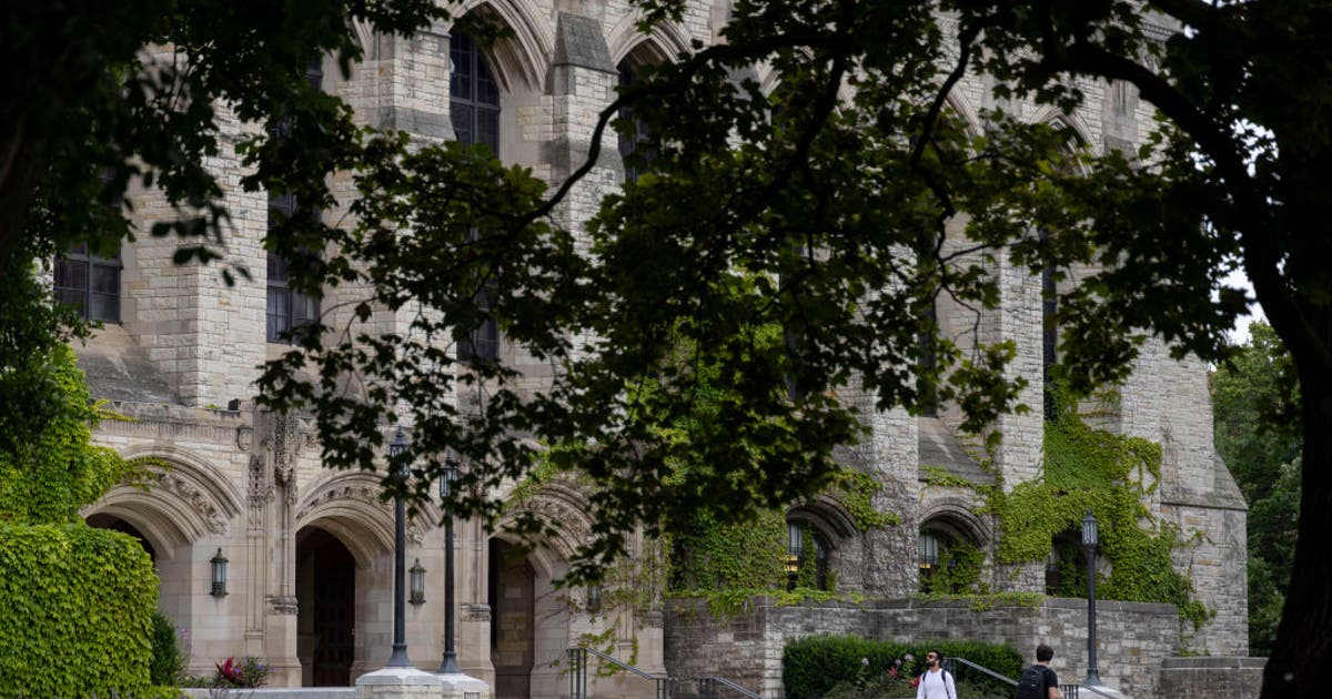 Northwestern University student dies after being pulled from Lake Michigan, officials say