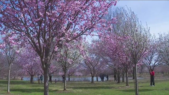 Things to do in Chicago this weekend: Earth Day Fest, Wicker Park Art Walk and more