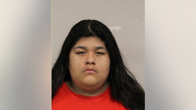 Cook County man arrested after brief chase, loaded gun recovered: police