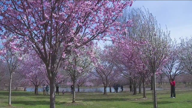 Things to do in Chicago this weekend: Earth Day Fest, Wicker Park Art Walk and more