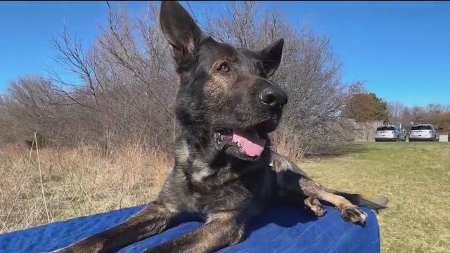 Lake County K-9 Dax to be honored at national memorial in Washington, D.C.