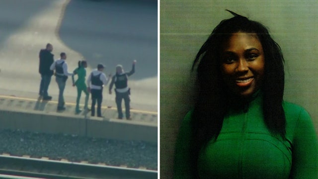 Woman facing multiple charges after suburban police chase on Dan Ryan Expressway