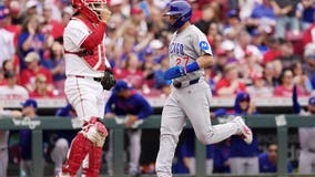 Seiya Suzuki and Reese McGuire homer in the 8th inning to rally Cubs to an 11-8 victory over Reds
