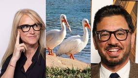 Things to do in Chicago this weekend — Cabaret Week, SAUCED Spring Night Market and more