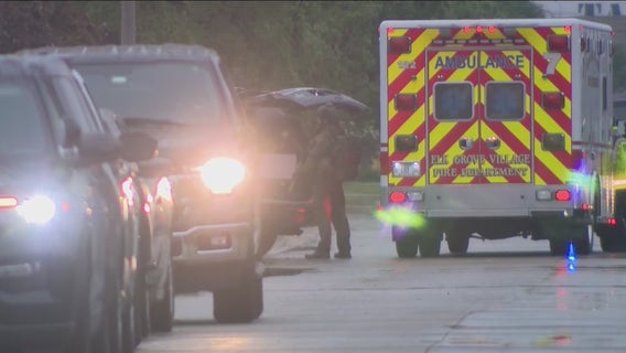 Standoff outside Elk Grove Village business ends peacefully, police say