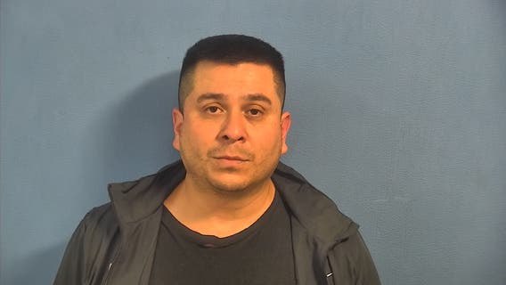 Naperville man receives sentence for killing family dog, threatening children: prosecutors