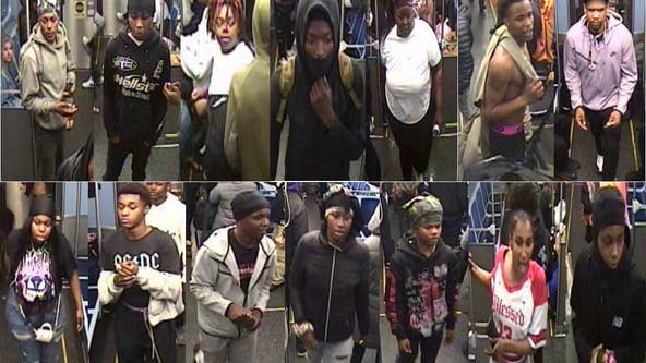 At least 10 suspects robbed, pepper sprayed couple on train: CPD