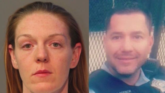 Ex-Chicago police officer pleads guilty in husband's shooting death