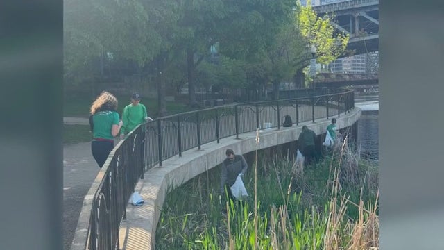 'Chicago River Day' shows progress with less trash, more wildlife
