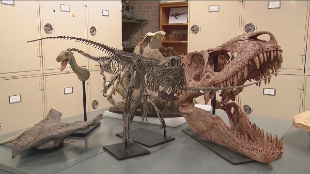 Chicago fossil expert ranked No. 2 coolest job in U.S.
