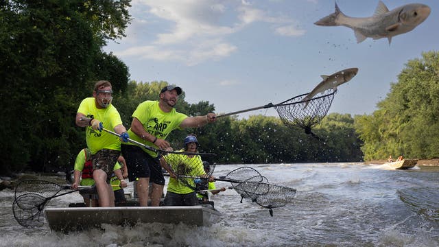 Illinois acquires land for project to keep invasive carp from Lake Michigan