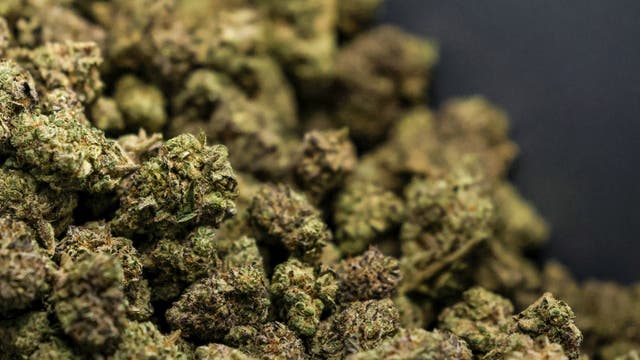 Molotov cocktails thrown into Chicago weed shops, police investigating