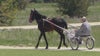 68-acre horse farm in Will County converted into recovery site for men