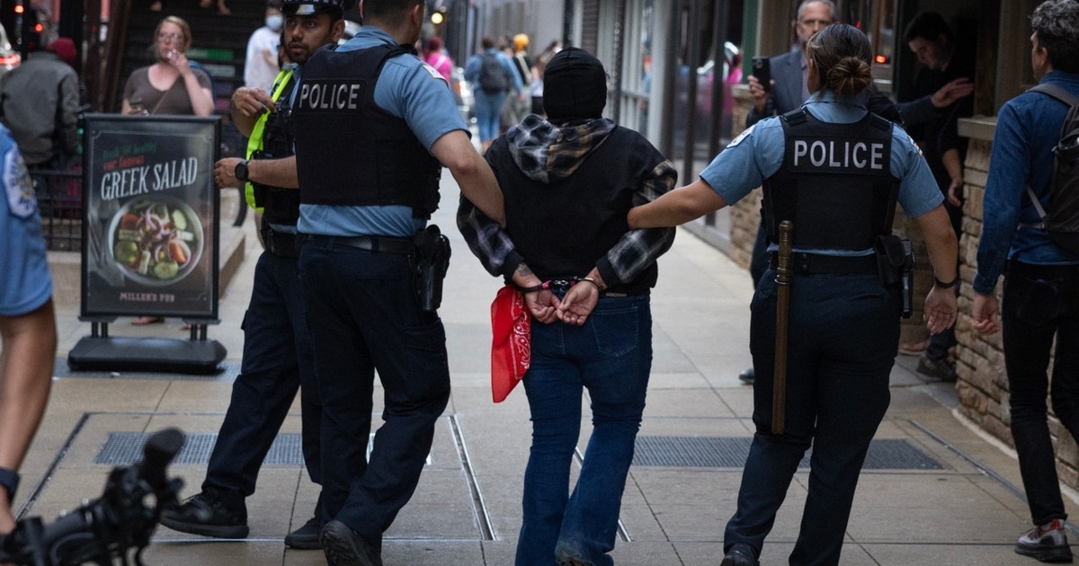 Chicago ICE protest: 17 arrested during chaotic evening downtown | FOX ...